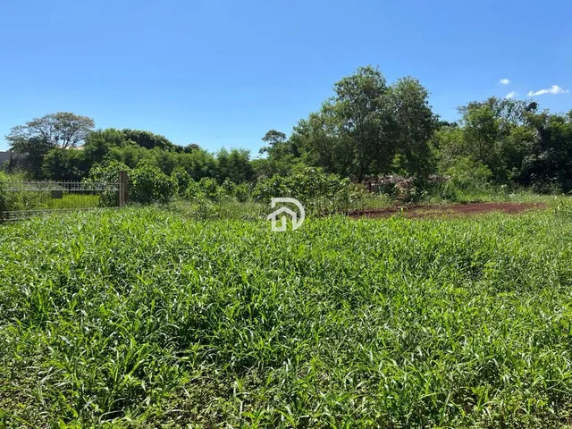 Imagem 9: Chácara por R$1.0000,00 no Bairro União em santa Helena-Pr