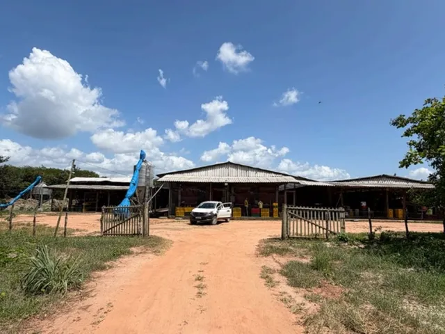 Imagem 4: Granja de Avicultura de Postura | 26,64 Hectares