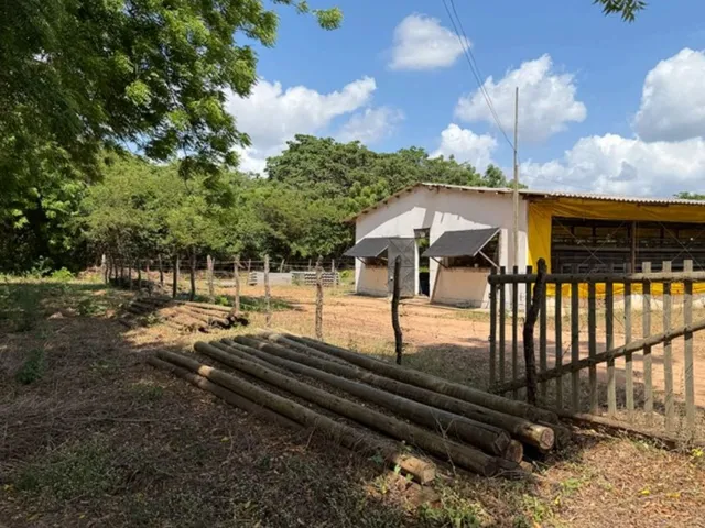 Imagem 14: Granja de Avicultura de Postura | 26,64 Hectares
