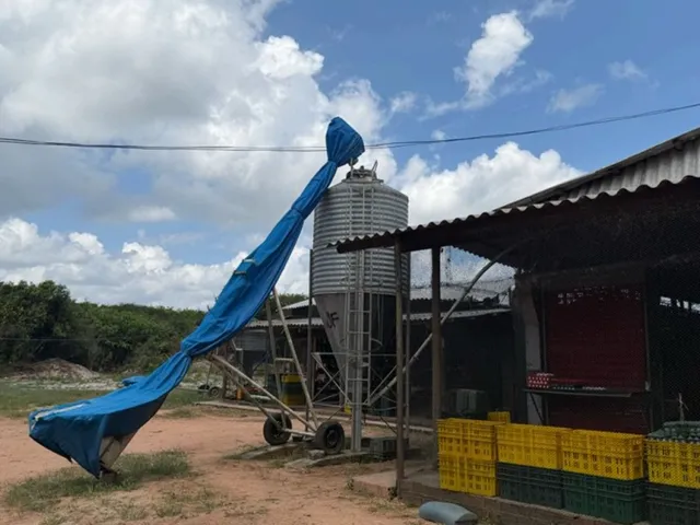 Imagem 9: Granja de Avicultura de Postura | 26,64 Hectares