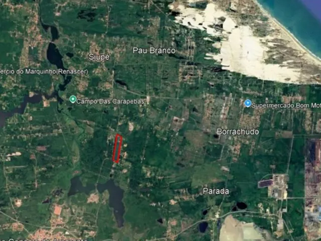 Imagem 13: Granja de Avicultura de Postura | 26,64 Hectares