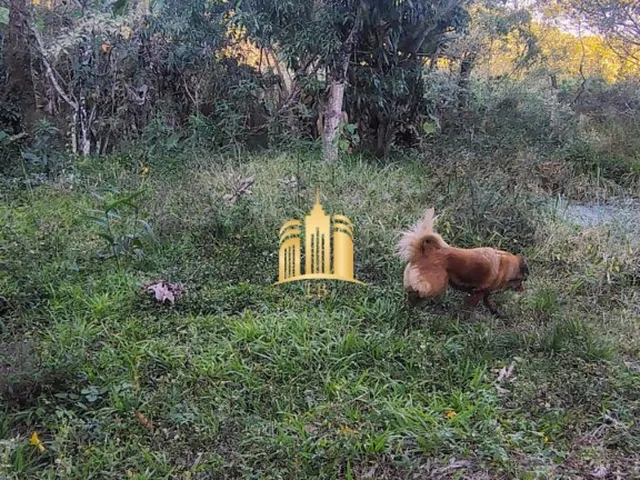 Imagem 9: OPORTUNIDADE DE NEGÓCIO - CHÁCARA À VENDA EM ESMERALDAS/MG