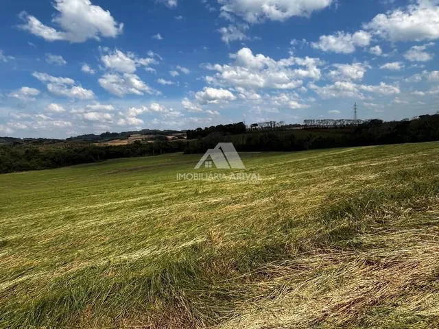 Imagem: ÁREA RURAL LINHA CASCAVEL