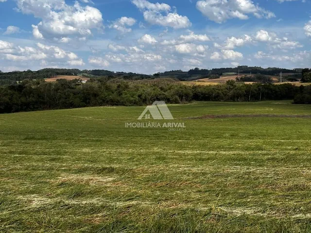 Imagem 4: ÁREA RURAL LINHA CASCAVEL