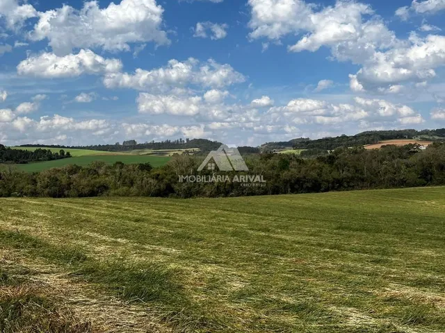 Imagem 5: ÁREA RURAL LINHA CASCAVEL