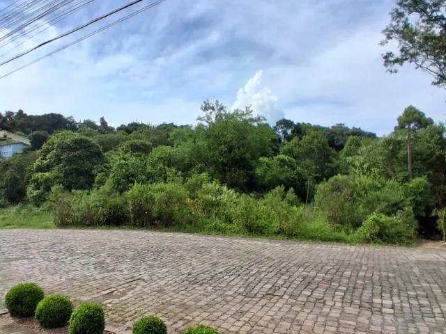 Imagem 4: Terreno Em Bento Gonçalves - Terreno Em Bento Gonçalves