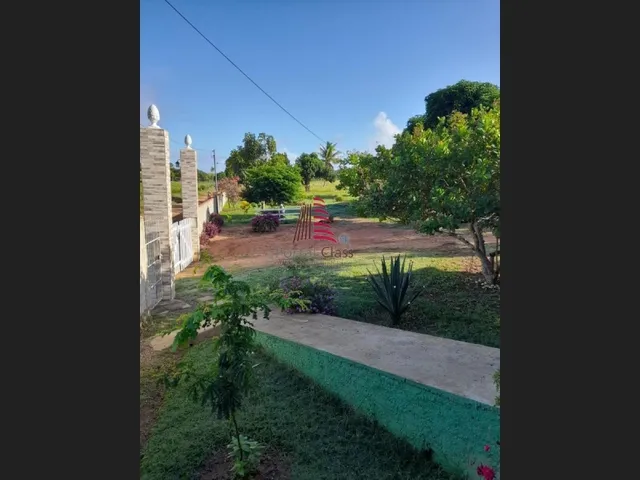Imagem 5: CÓD.: 1-678/ Chácara para Venda, Salgado / SE
