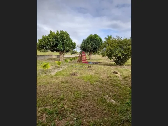 Imagem 2: CÓD.: 1-678/ Chácara para Venda, Salgado / SE