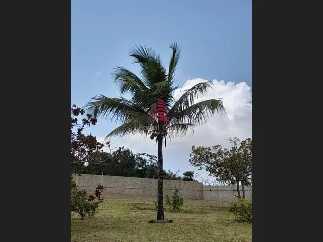 Imagem 3: CÓD.: 1-678/ Chácara para Venda, Salgado / SE