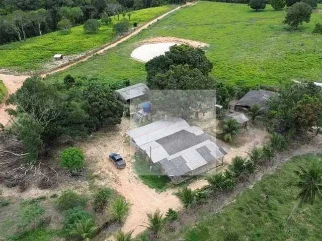 Imagem: Fazenda em Altamira Pa