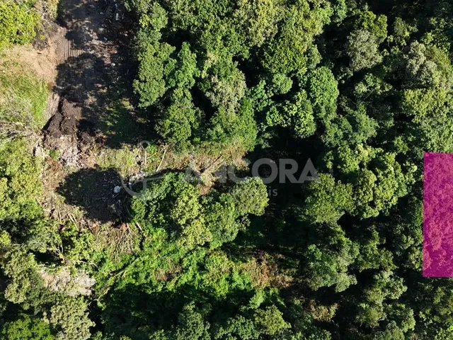 Imagem 2: Terreno medindo 375m², próximo a entrada da cidade, à venda em Itapoá/Sc, na Barra do