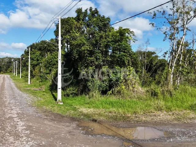 Imagem 2: Terreno limpo e aterrado, pronto para construir medindo 375m², à venda próximo a