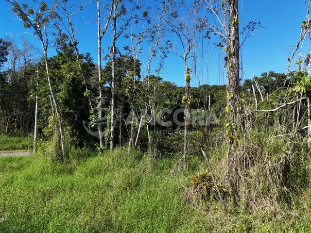 Imagem 4: Terreno limpo e aterrado, pronto para construir medindo 375m², à venda próximo a