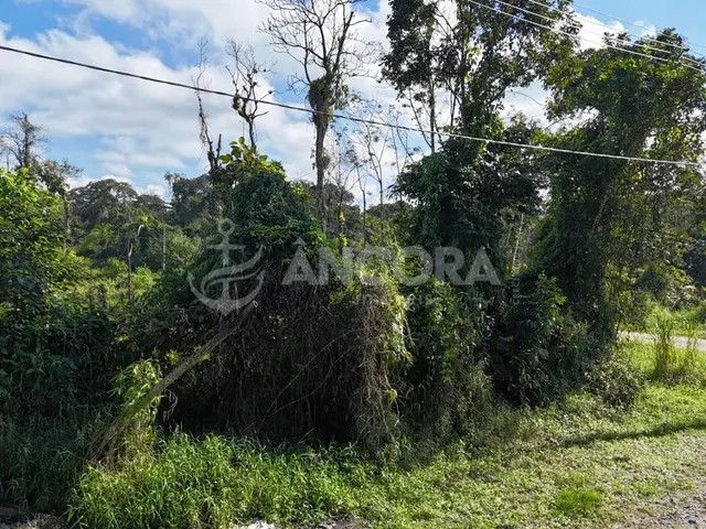 Imagem 6: Terreno limpo e aterrado, pronto para construir medindo 375m², à venda próximo a