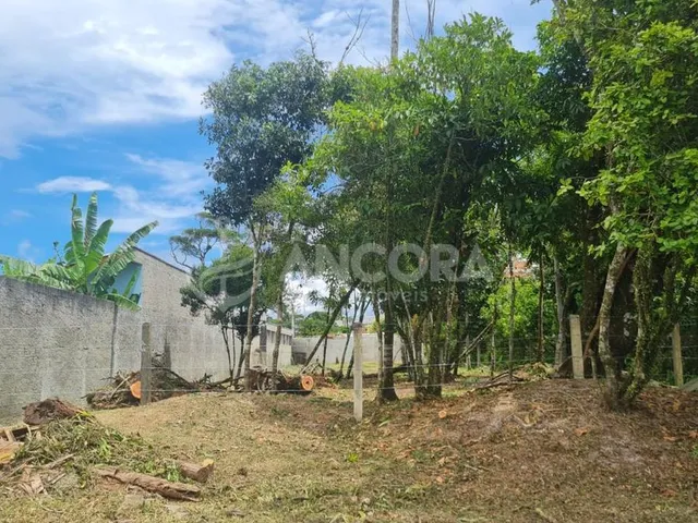 Imagem 7: Terreno na Quadra do Mar, medindo 651m², em Itapoá/Sc, no Balneário Nascimento