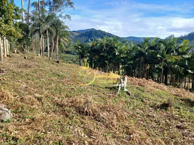 Imagem 5: Terreno À Venda em Luiz Alves-Sc, Bairro Luiz Alvez, 2.000M² de Área!