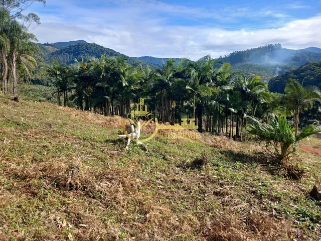 Imagem 2: Terreno À Venda em Luiz Alves-Sc, Bairro Luiz Alvez, 2.000M² de Área!