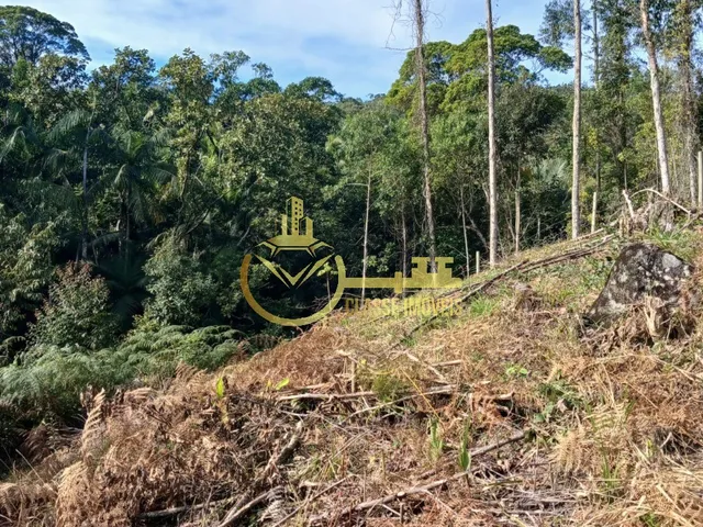 Imagem 6: Terreno À Venda em Luiz Alves-Sc, Bairro Luiz Alvez, 2.000M² de Área!
