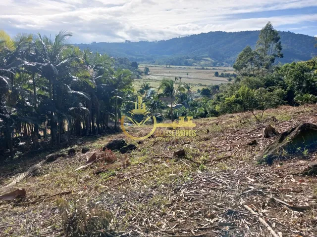 Imagem 3: Terreno À Venda em Luiz Alves-Sc, Bairro Luiz Alvez, 2.000M² de Área!