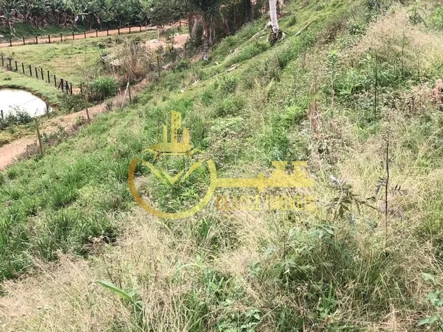 Imagem 4: Oportunidade Única: Terreno À Venda em Luiz Alves-Sc, no Bairro Luiz Alves, com 8.000 M² de Área!