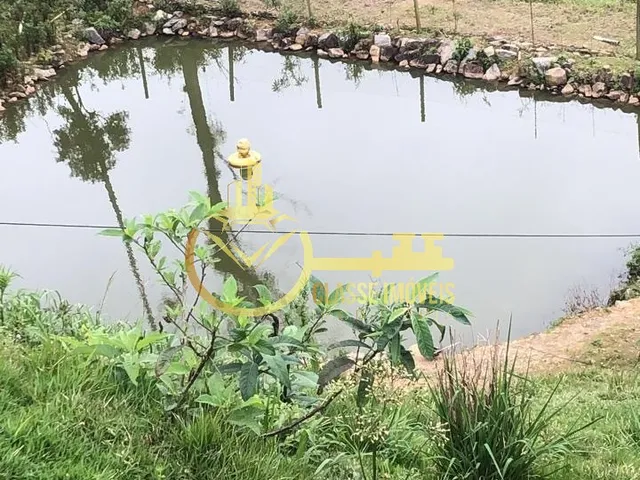 Imagem 2: Oportunidade Única: Terreno À Venda em Luiz Alves-Sc, no Bairro Luiz Alves, com 8.000 M² de Área!