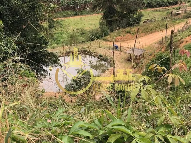 Imagem 5: Oportunidade Única: Terreno À Venda em Luiz Alves-Sc, no Bairro Luiz Alves, com 8.000 M² de Área!