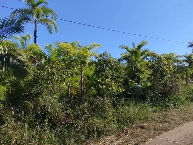 Imagem 15: Áreas Rurais À Venda em Morretes/Pr - Natureza, Água e Qualidade de Vida