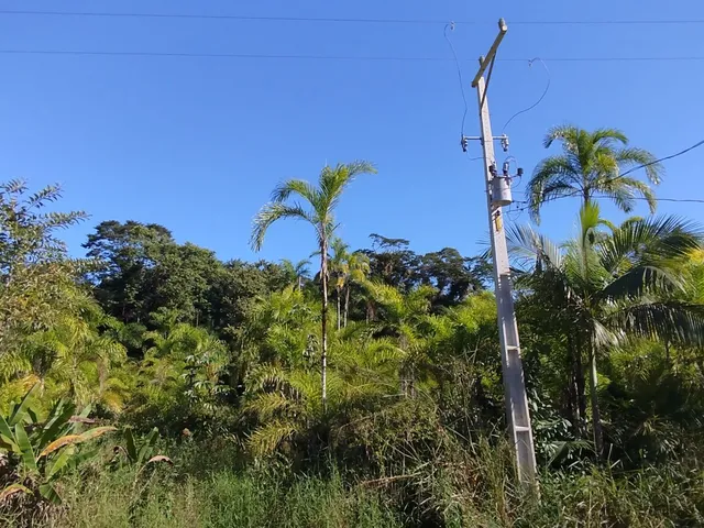 Imagem 12: Áreas Rurais À Venda em Morretes/Pr - Natureza, Água e Qualidade de Vida