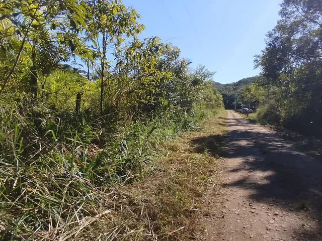 Imagem 13: Áreas Rurais À Venda em Morretes/Pr - Natureza, Água e Qualidade de Vida