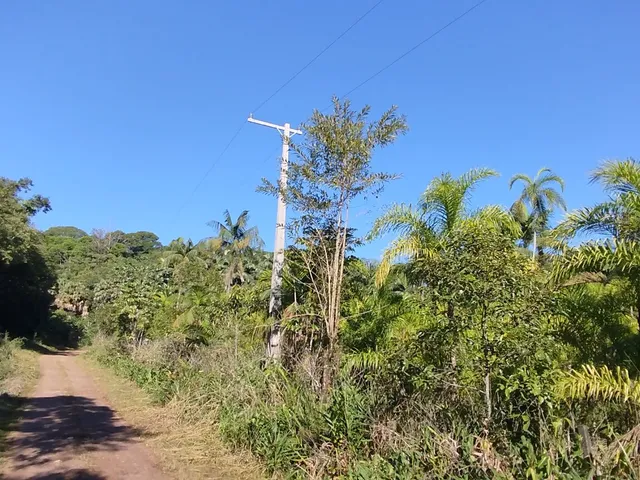 Imagem 14: Áreas Rurais À Venda em Morretes/Pr - Natureza, Água e Qualidade de Vida