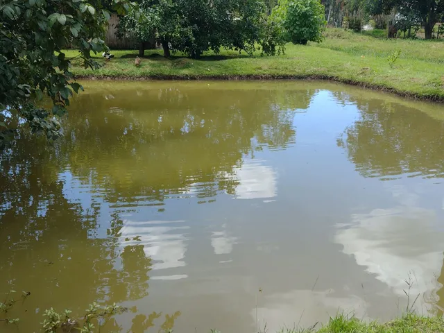 Imagem 3: Chácara com 13.180M² no Bairro Passa Sete em Morretes Estado do Paraná