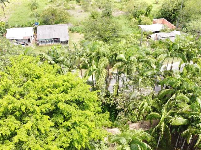 Imagem 5: Chácara com 13.180M² no Bairro Passa Sete em Morretes Estado do Paraná