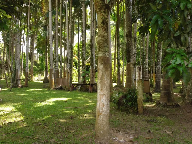Imagem 9: Chácara com 13.180M² no Bairro Passa Sete em Morretes Estado do Paraná