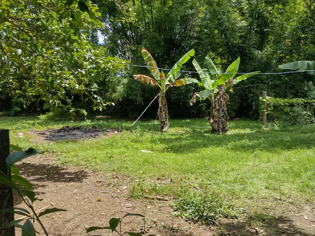 Imagem 15: Chácara com 13.180M² no Bairro Passa Sete em Morretes Estado do Paraná