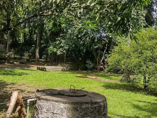 Imagem 7: Chácara com 13.180M² no Bairro Passa Sete em Morretes Estado do Paraná