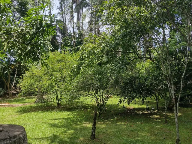 Imagem 10: Chácara com 13.180M² no Bairro Passa Sete em Morretes Estado do Paraná