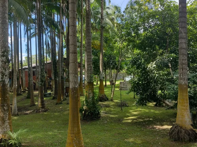 Imagem 6: Chácara com 13.180M² no Bairro Passa Sete em Morretes Estado do Paraná