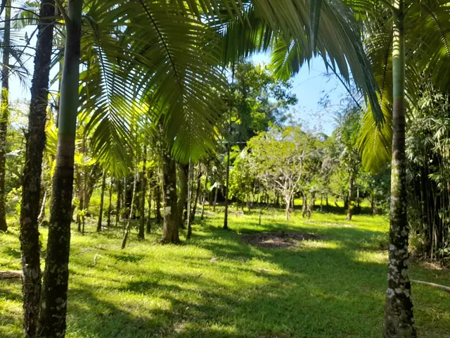 Imagem 2: ? Chácara com 4,85 hectares, rio para banho e pesca, vista para as montanhas –