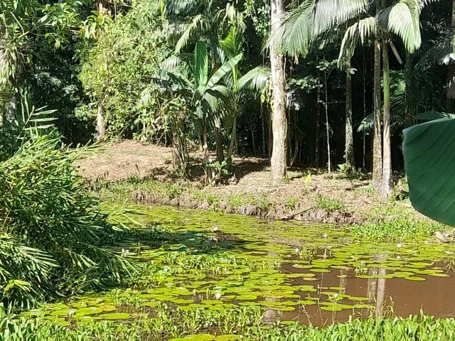 Imagem 11: ? Chácara com 4,85 hectares, rio para banho e pesca, vista para as montanhas –