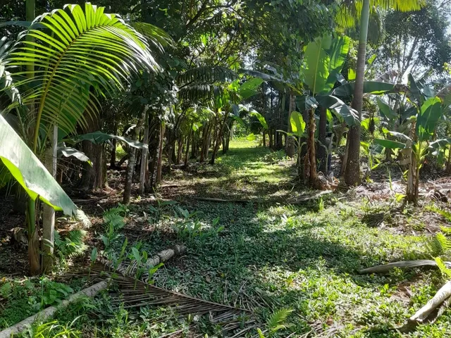 Imagem 9: ? Chácara com 4,85 hectares, rio para banho e pesca, vista para as montanhas –