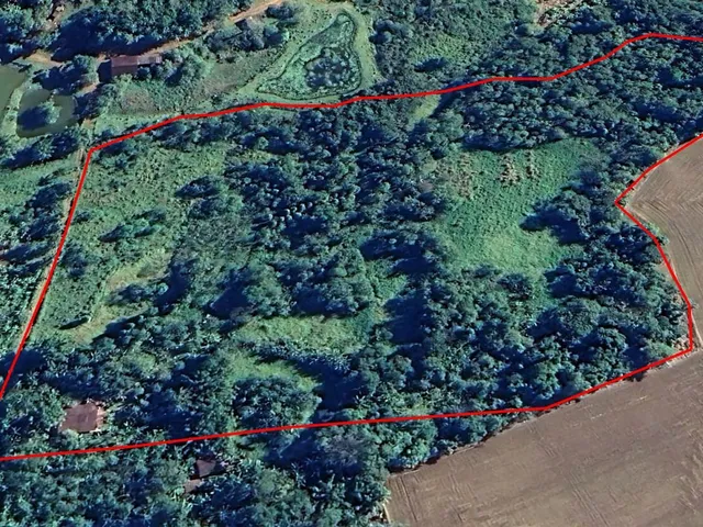 Imagem 14: ? Chácara com 4,85 hectares, rio para banho e pesca, vista para as montanhas –
