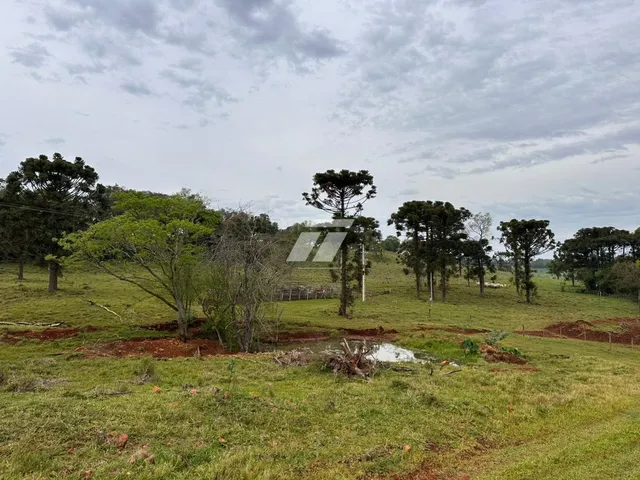 Imagem: Área rural de 31 alqueires em Lindoeste