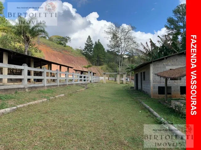 Imagem: VENHA CONHECER A FAZENDA VASSOURAS, UM VERDADEIRO