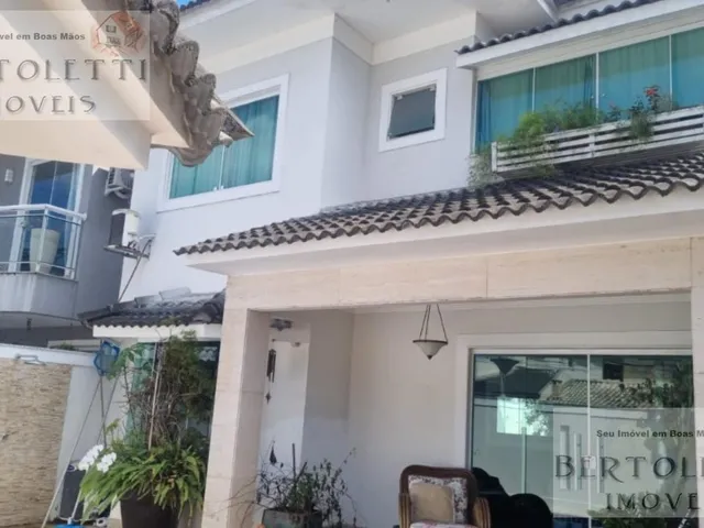 Imagem: Em busca de um novo lar cheio de conforto
