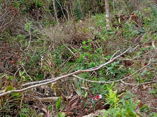 Imagem: Terreno em Shangri-la, Pontal do Paraná/PR
