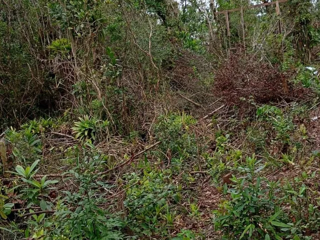 Imagem 3: Terreno em Shangri-la, Pontal do Paraná/PR
