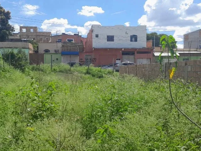 Imagem: Terreno Lote em Girassol, Ribeirão das