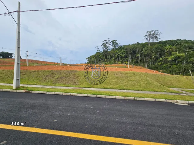 Imagem: Lote com 350,00 m²