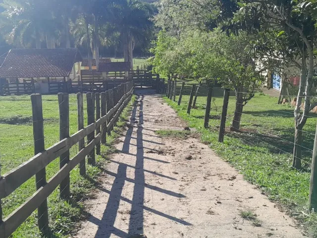 Imagem: Sítio de alto padrão à venda em Tatuí-SP