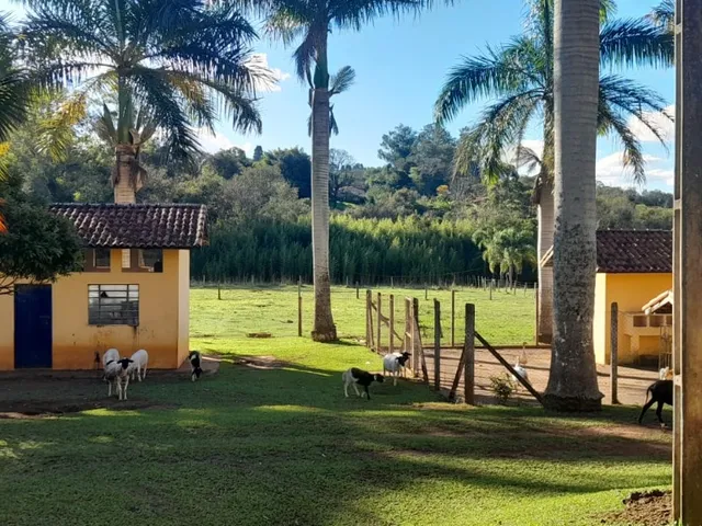 Imagem 5: Sítio de alto padrão à venda em Tatuí-SP, Área Rural: 3 quartos, 2 salas, 2